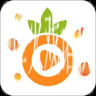 菠萝视频App：探索无限精彩的视频世界