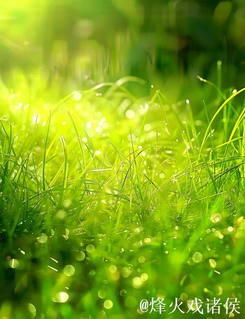 青青草精品：探索绿色生活之美