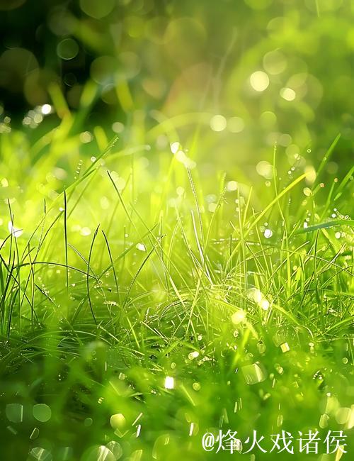 青青草精品：探索绿色生活之美